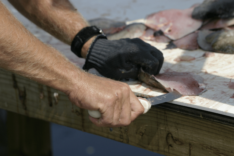 how to fillet a speckled trout