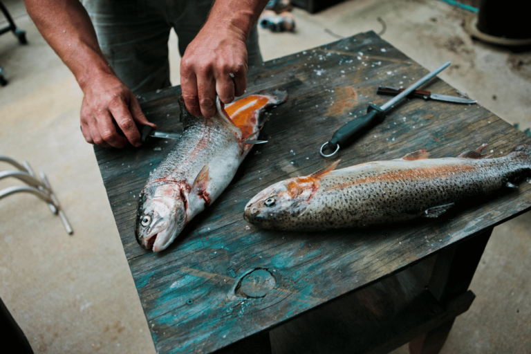 How to Fillet Lake Trout