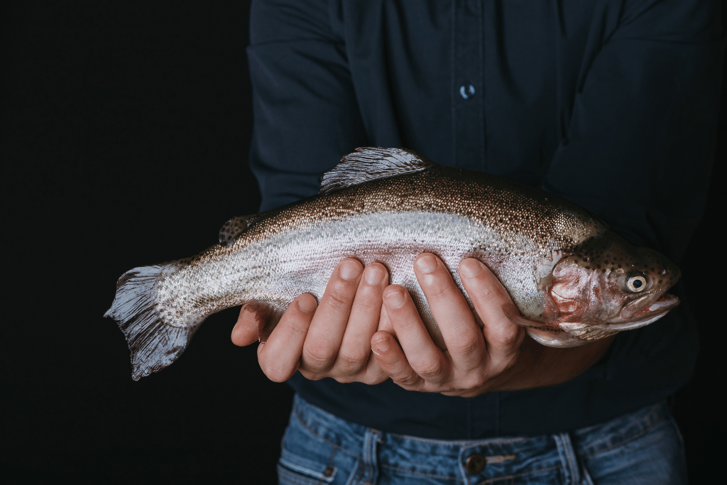 How to Hold Trout