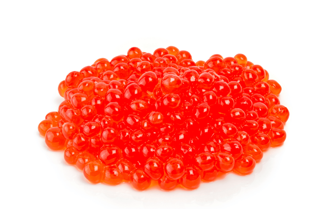 What is Trout Roe