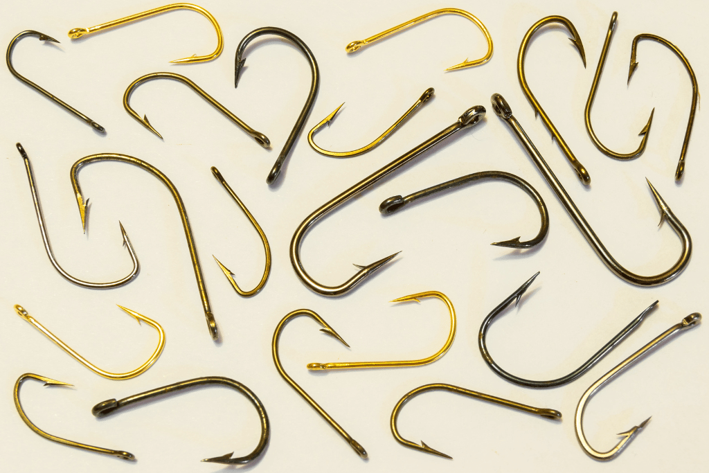 Best Hook Sizes for Fishing