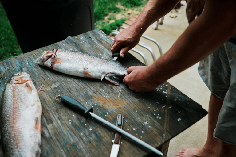 How to Fillet Sea Trout
