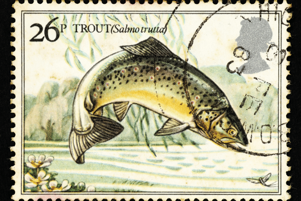 Trout Stamp Designs