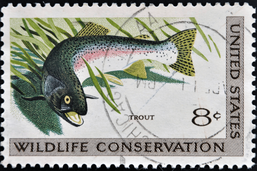 What Is a Trout Stamp