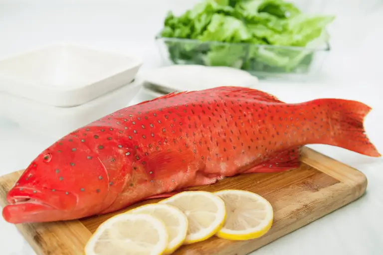 How to Cook Coral Trout